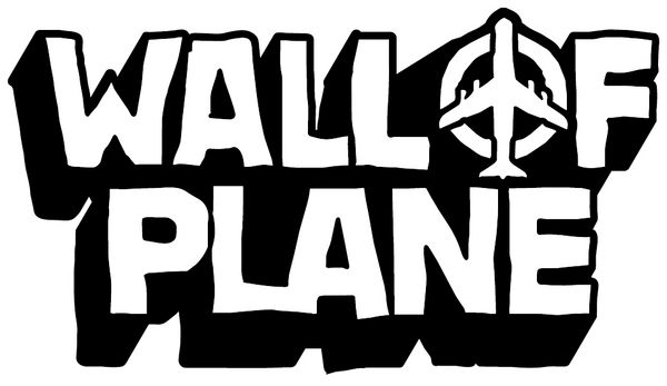 WALL OF PLANE